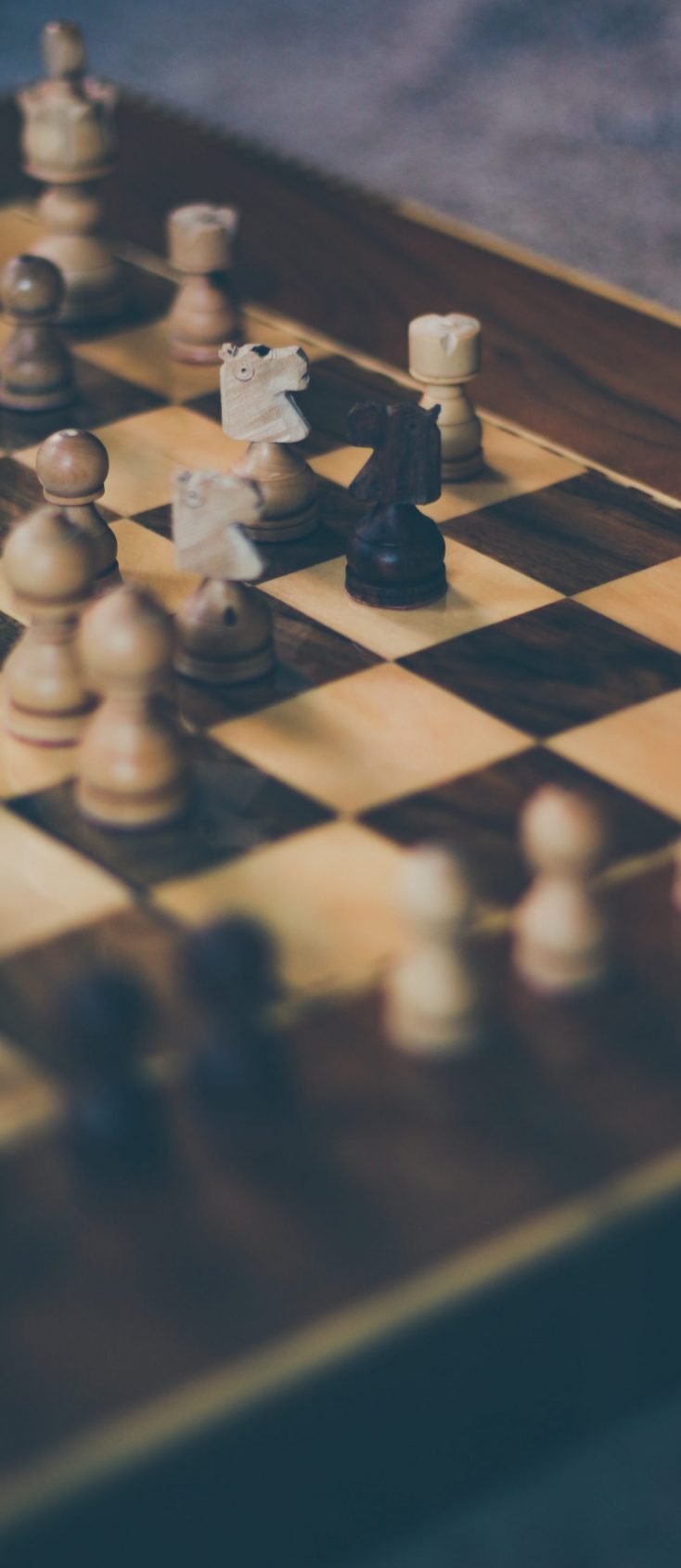 nasim-keshmiri-L2fCOZSNUdM-unsplash nasim-keshmiri-L2fCOZSNUdM-unsplash