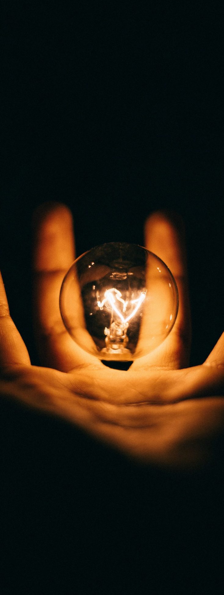rohan-makhecha-jw3GOzxiSkw-unsplash rohan-makhecha-jw3GOzxiSkw-unsplash